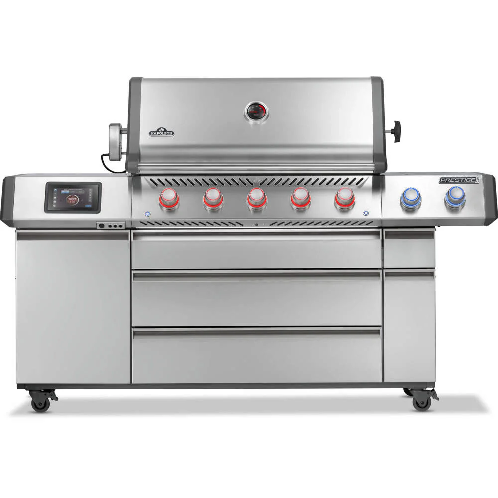 Best Quality Napoleon Natural Gas and Propane